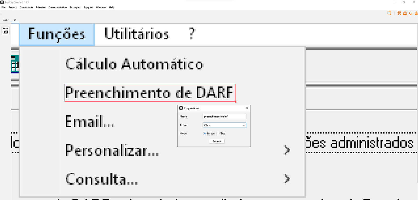 print mostrando em destaque a parte de preenchimento de DARF selecionada